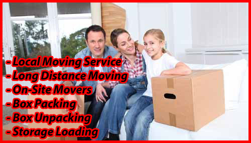 Packers And Movers Noida Sector 137